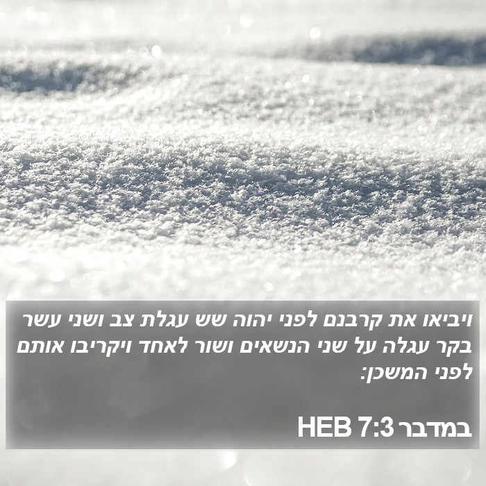 במדבר 7:3 HEB Bible Study