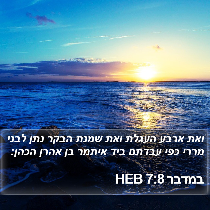 במדבר 7:8 HEB Bible Study