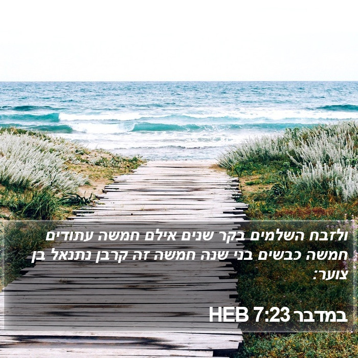 במדבר 7:23 HEB Bible Study