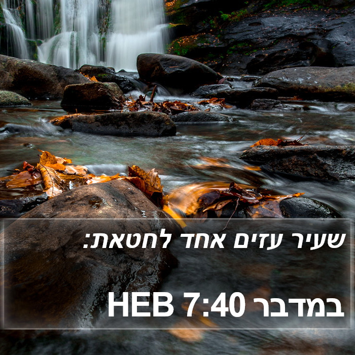 במדבר 7:40 HEB Bible Study