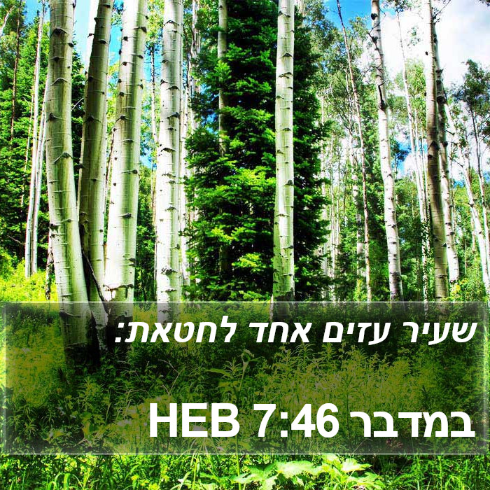 במדבר 7:46 HEB Bible Study