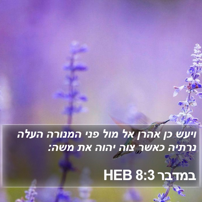 במדבר 8:3 HEB Bible Study