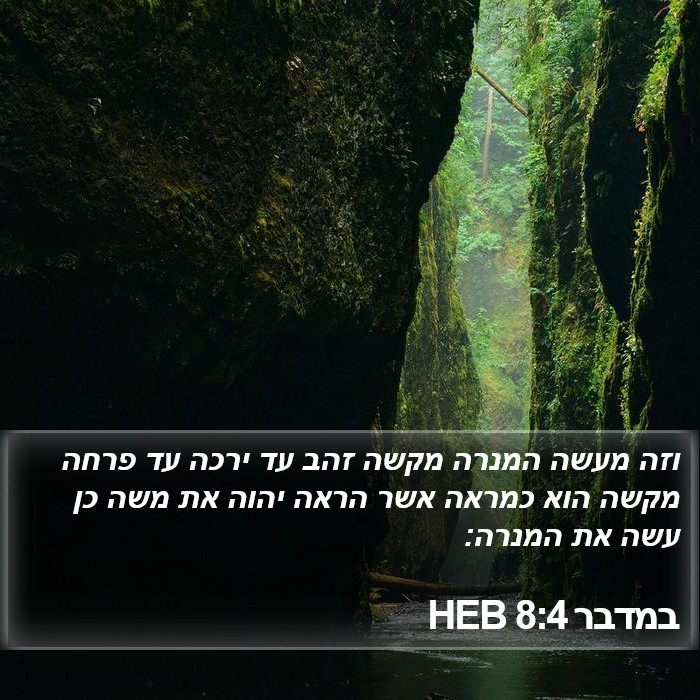 במדבר 8:4 HEB Bible Study