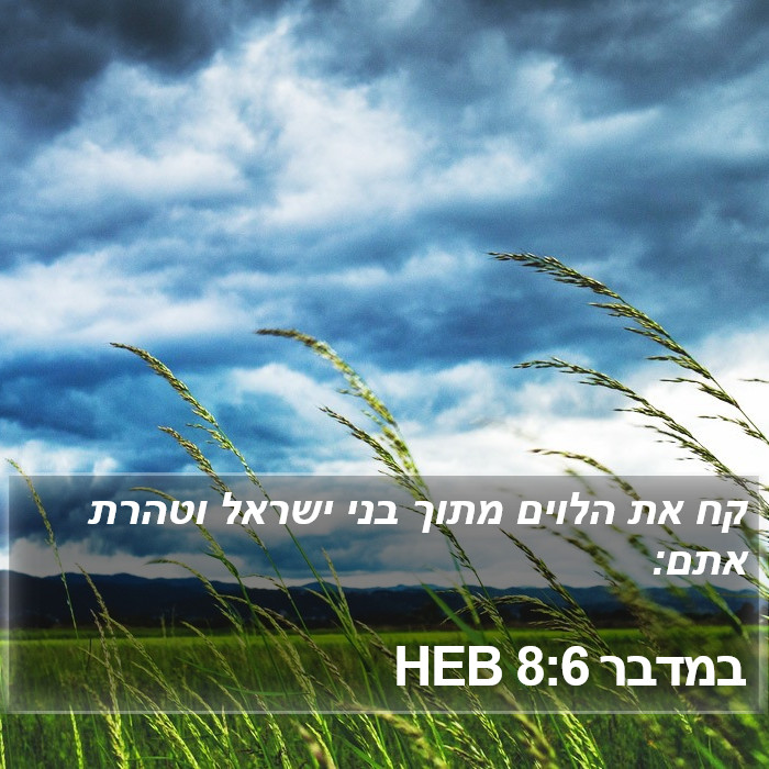 במדבר 8:6 HEB Bible Study