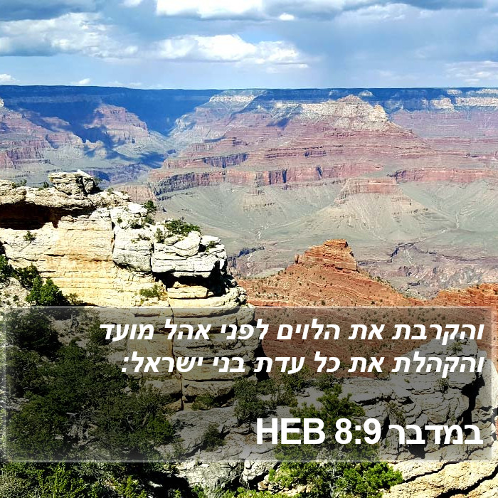 במדבר 8:9 HEB Bible Study