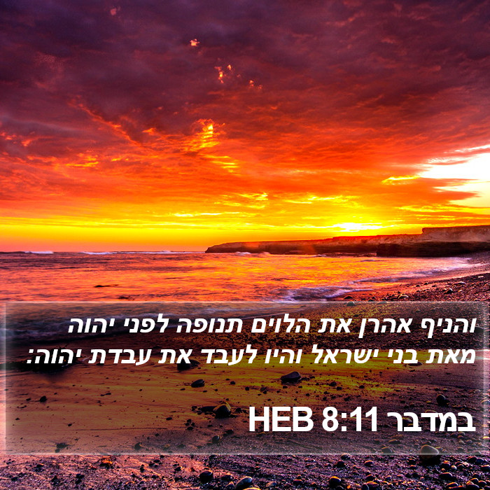 במדבר 8:11 HEB Bible Study