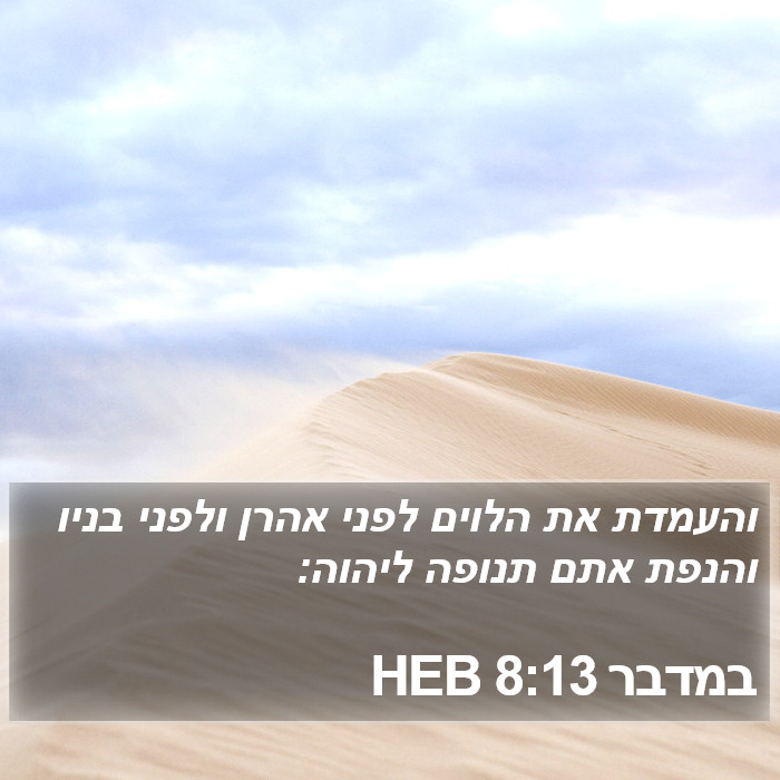 במדבר 8:13 HEB Bible Study