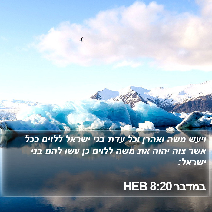 במדבר 8:20 HEB Bible Study