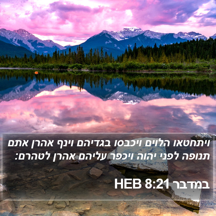 במדבר 8:21 HEB Bible Study