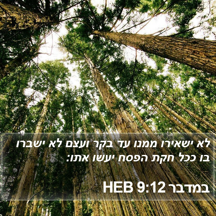 במדבר 9:12 HEB Bible Study