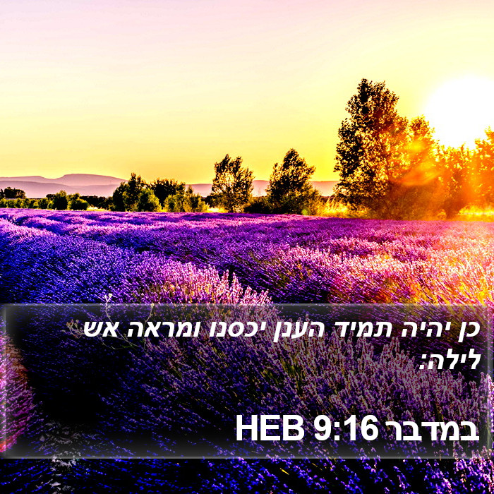 במדבר 9:16 HEB Bible Study