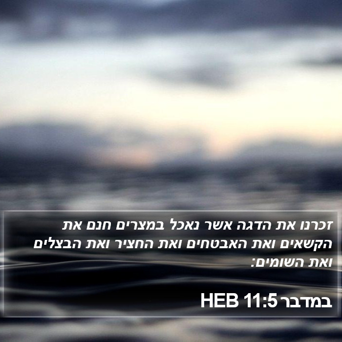 במדבר 11:5 HEB Bible Study