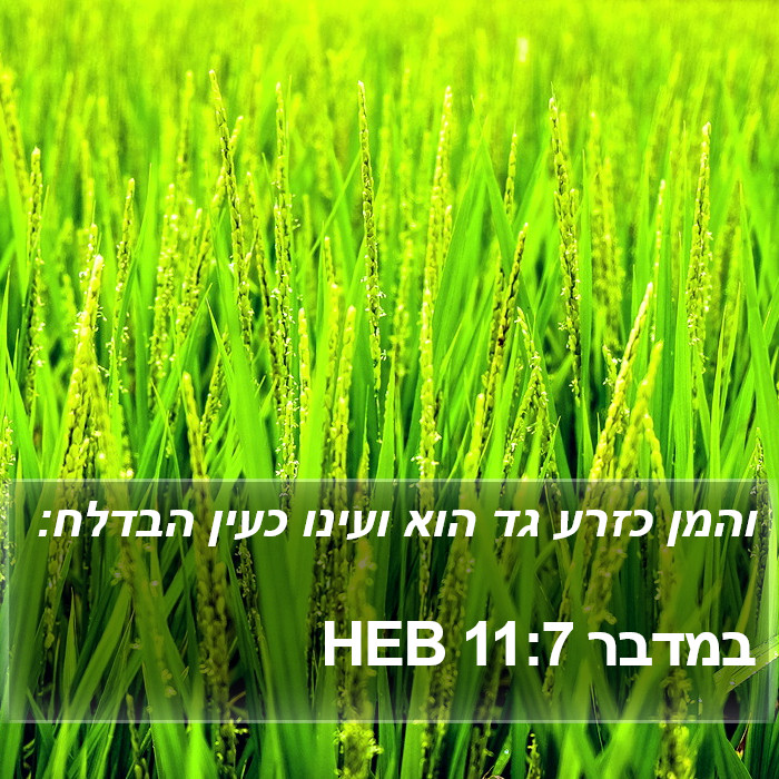 במדבר 11:7 HEB Bible Study