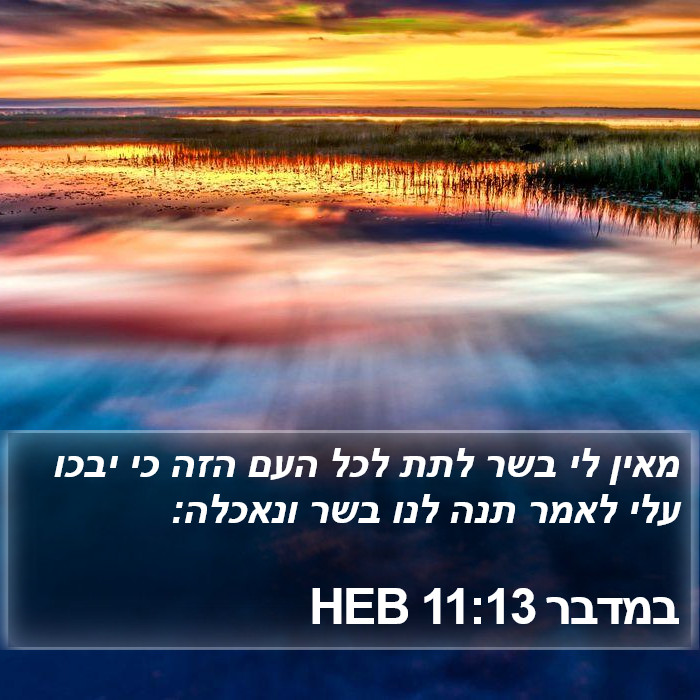 במדבר 11:13 HEB Bible Study