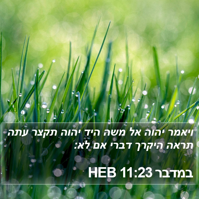 במדבר 11:23 HEB Bible Study