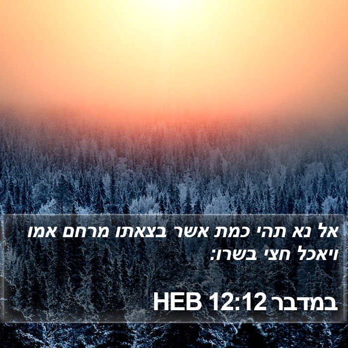 במדבר 12:12 HEB Bible Study