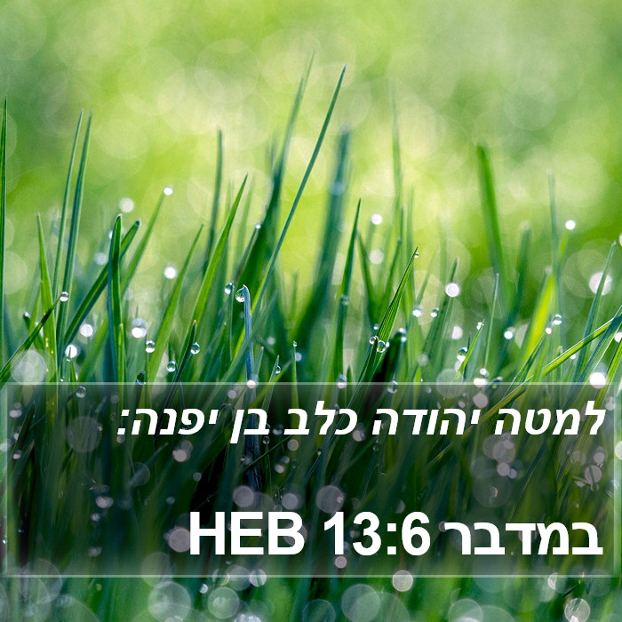 במדבר 13:6 HEB Bible Study