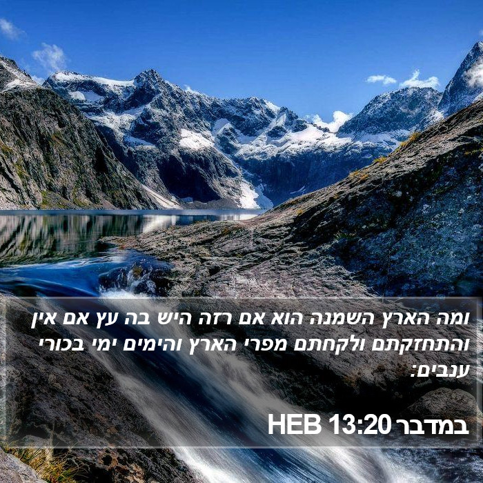 במדבר 13:20 HEB Bible Study