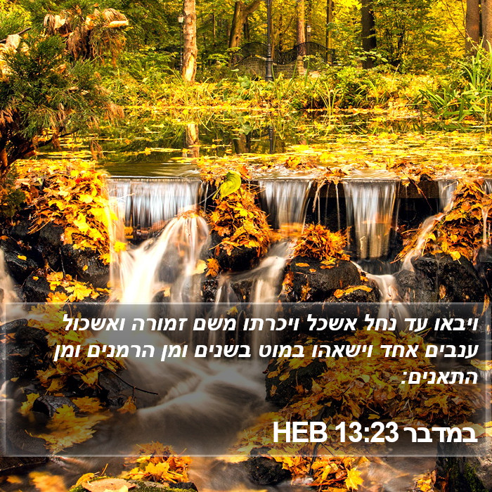 במדבר 13:23 HEB Bible Study