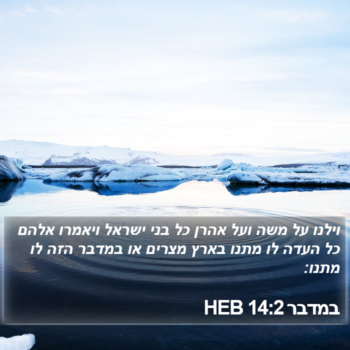 במדבר 14:2 HEB Bible Study