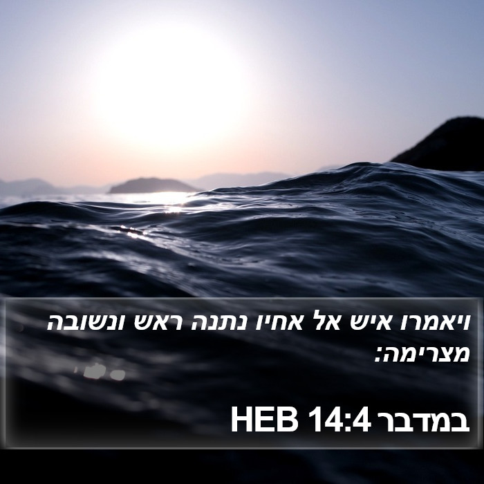 במדבר 14:4 HEB Bible Study