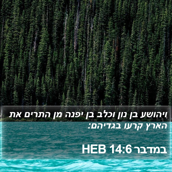 במדבר 14:6 HEB Bible Study