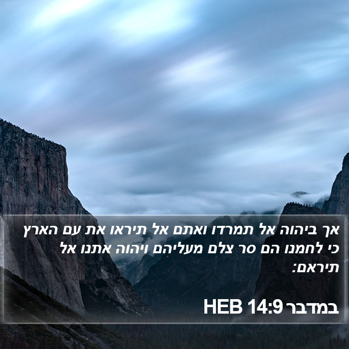 במדבר 14:9 HEB Bible Study