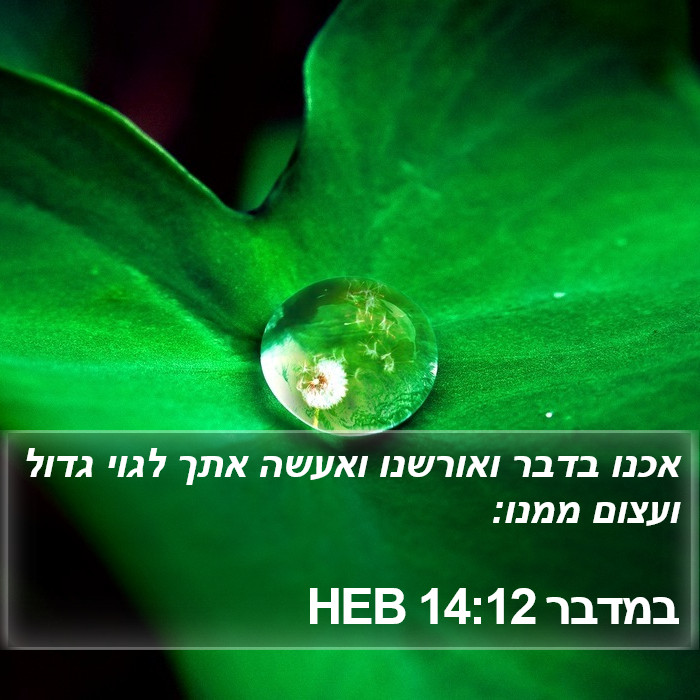 במדבר 14:12 HEB Bible Study