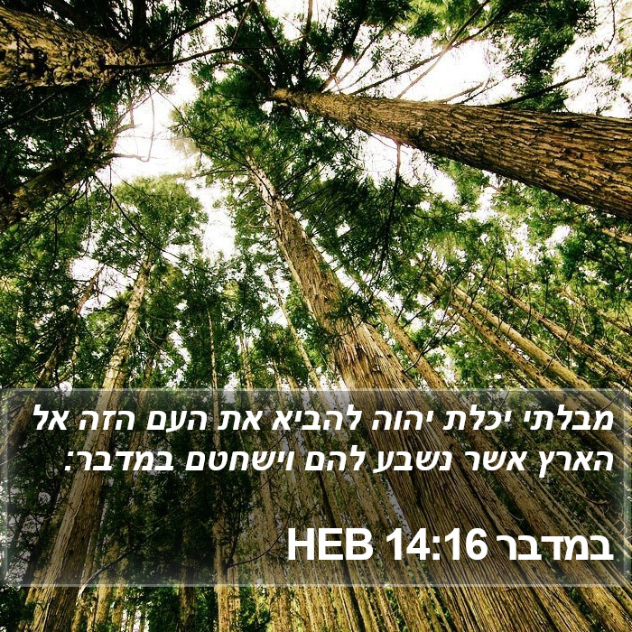 במדבר 14:16 HEB Bible Study