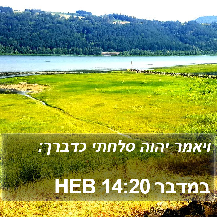 במדבר 14:20 HEB Bible Study