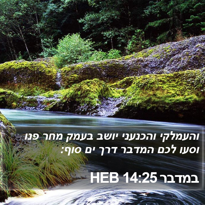 במדבר 14:25 HEB Bible Study