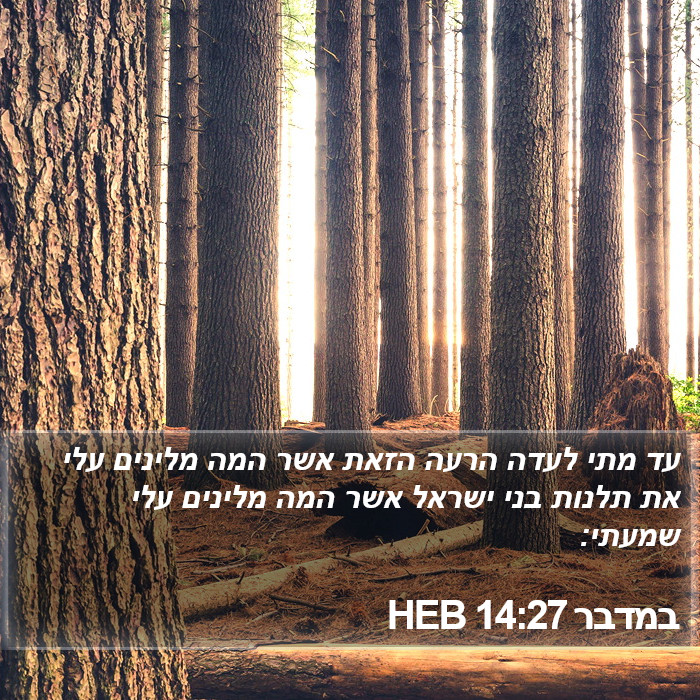 במדבר 14:27 HEB Bible Study