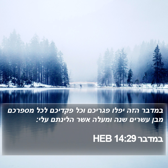 במדבר 14:29 HEB Bible Study