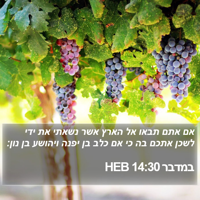 במדבר 14:30 HEB Bible Study