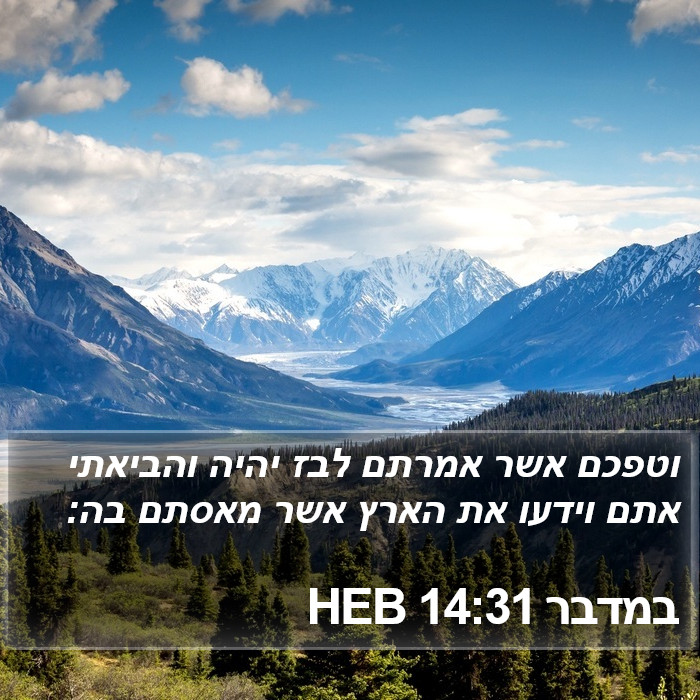 במדבר 14:31 HEB Bible Study