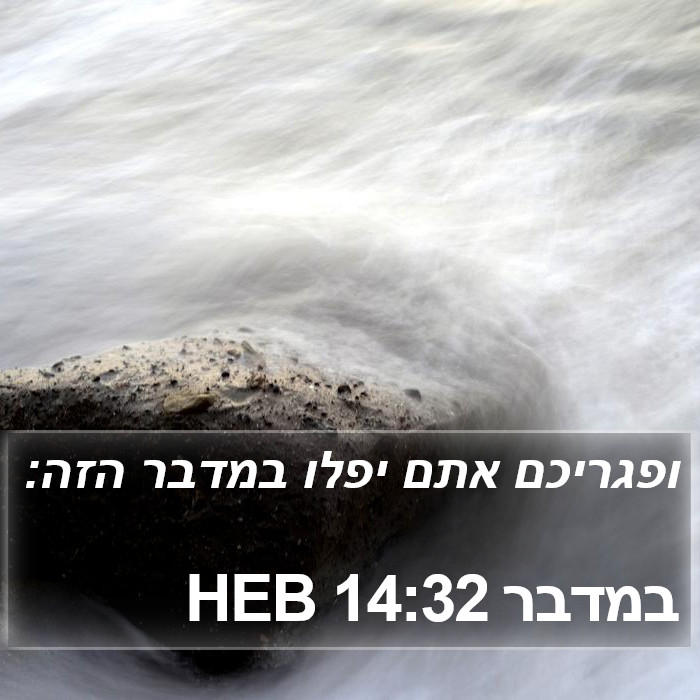 במדבר 14:32 HEB Bible Study