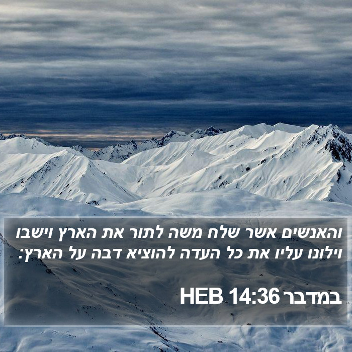 במדבר 14:36 HEB Bible Study