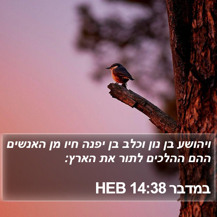 במדבר 14:38 HEB Bible Study