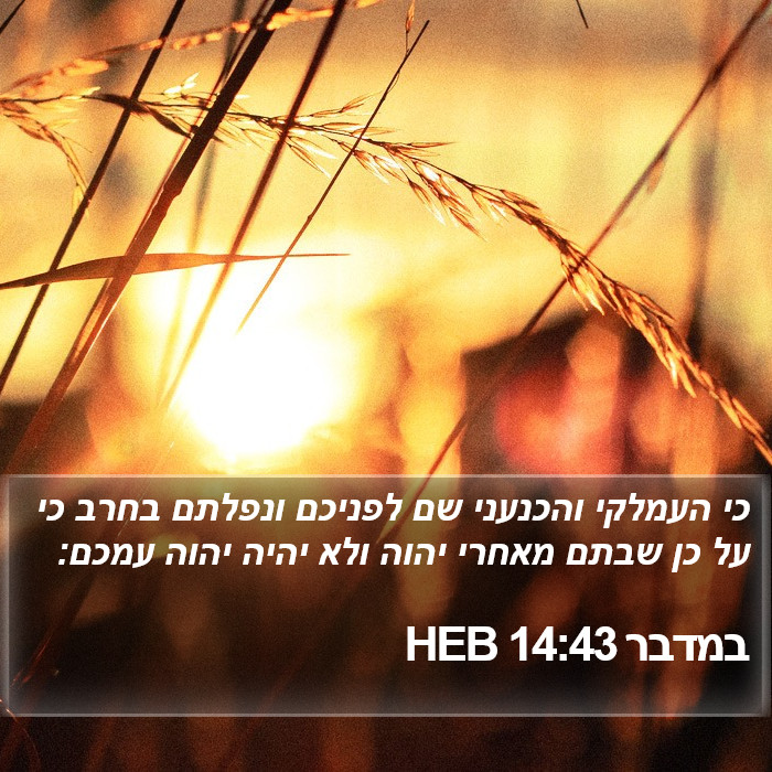 במדבר 14:43 HEB Bible Study