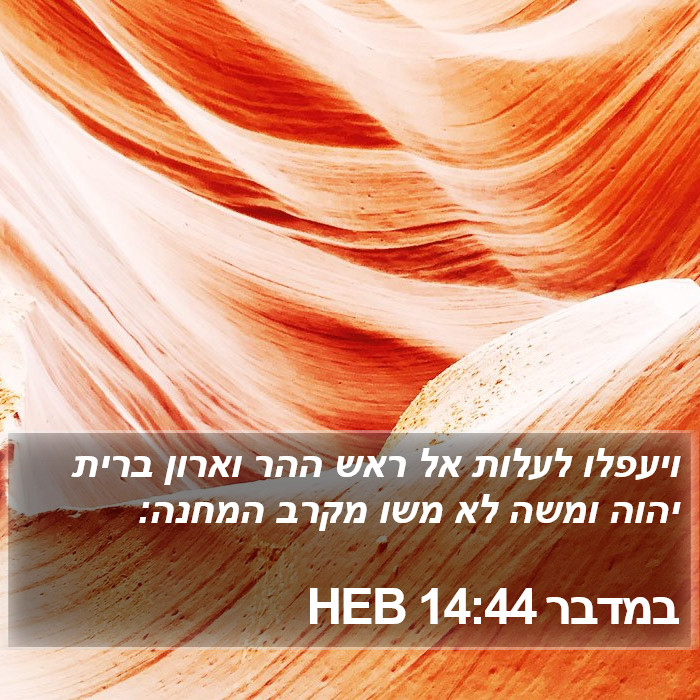 במדבר 14:44 HEB Bible Study