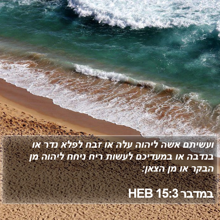 במדבר 15:3 HEB Bible Study