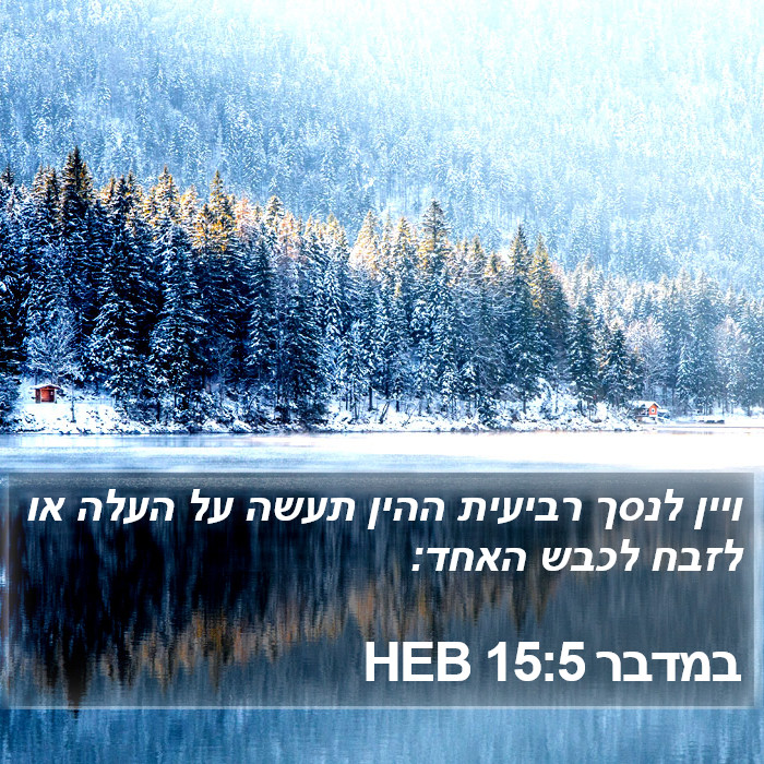 במדבר 15:5 HEB Bible Study