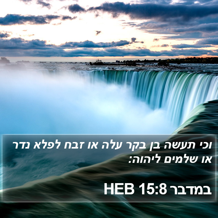 במדבר 15:8 HEB Bible Study