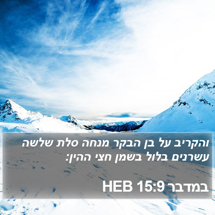 במדבר 15:9 HEB Bible Study