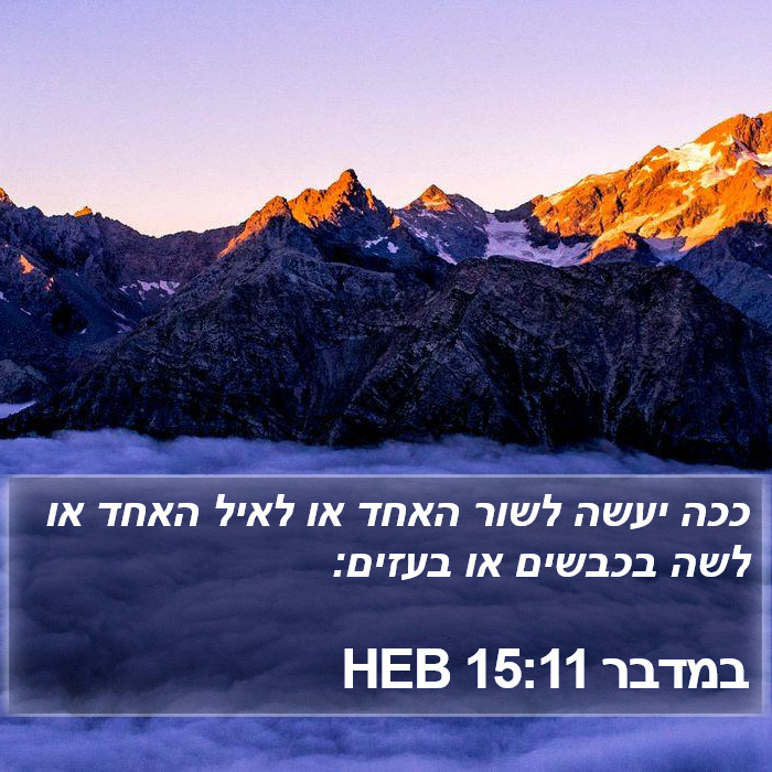 במדבר 15:11 HEB Bible Study