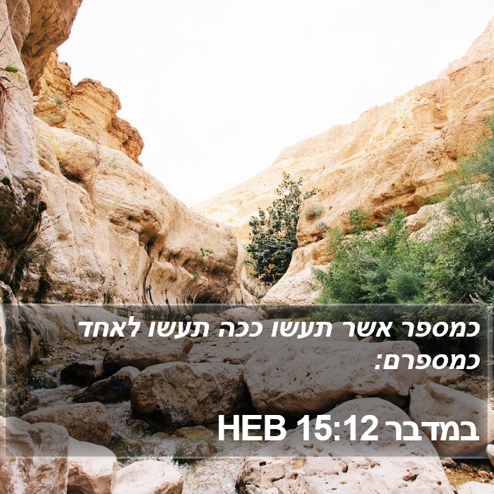 במדבר 15:12 HEB Bible Study