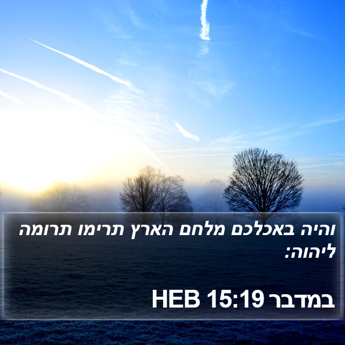 במדבר 15:19 HEB Bible Study