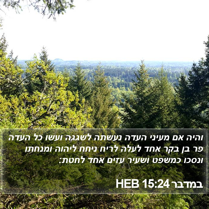 במדבר 15:24 HEB Bible Study