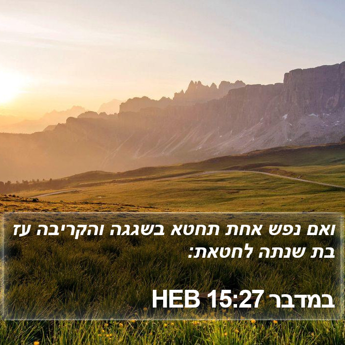 במדבר 15:27 HEB Bible Study