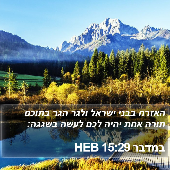 במדבר 15:29 HEB Bible Study